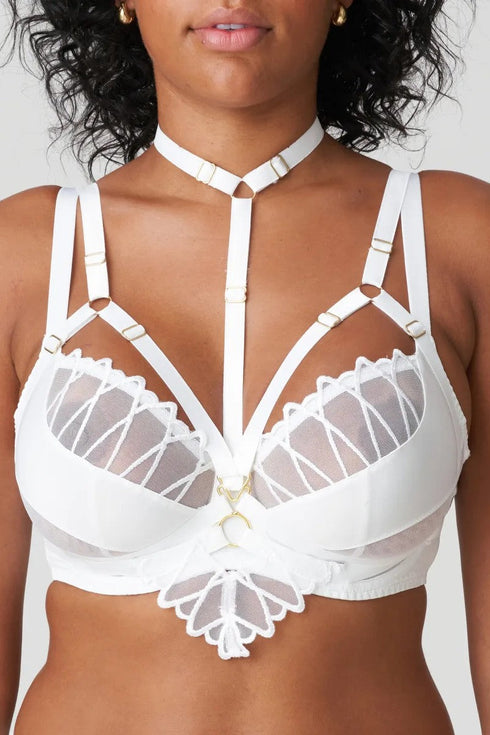 PrimaDonna Arthill Special Accessory